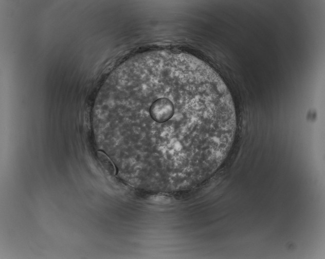 X0000111150272200907211210