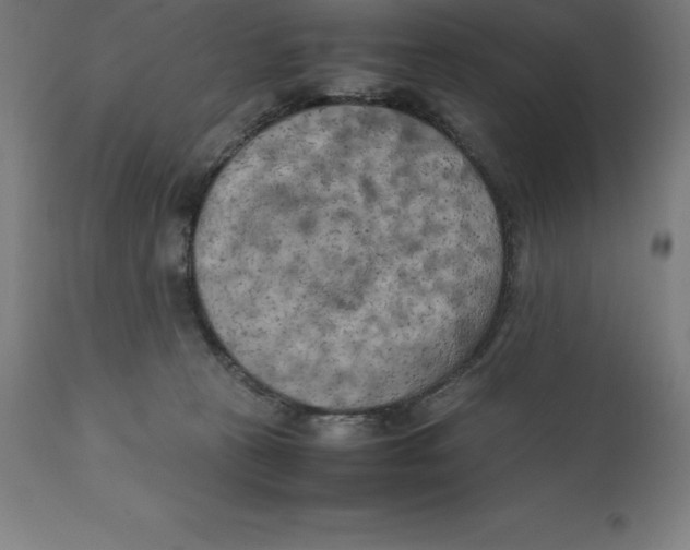 X0000111150273200907211210