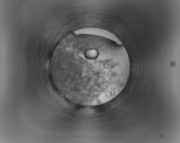 X0000111150276200907211210