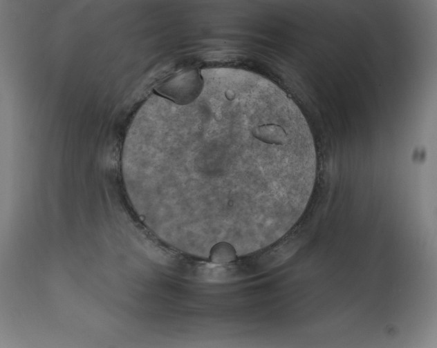 X0000111150277200907211210