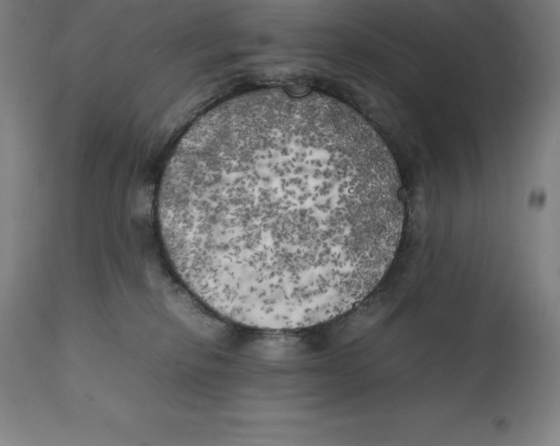 X0000111150278200907211210