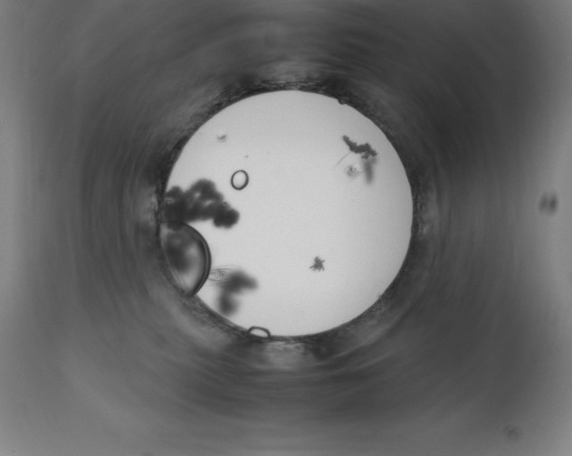 X0000111150279200907211210