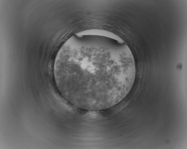 X0000111150280200907211210