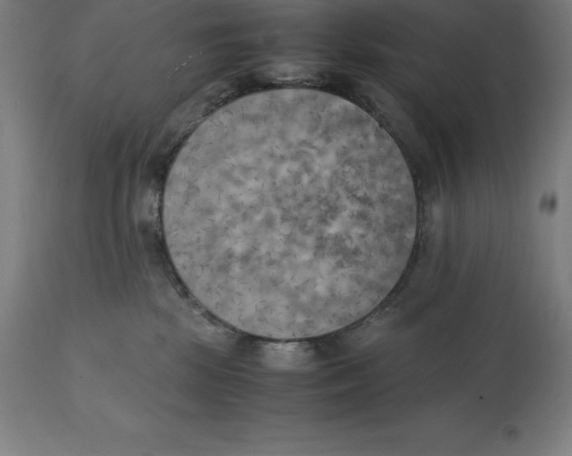 X0000111150281200907211210