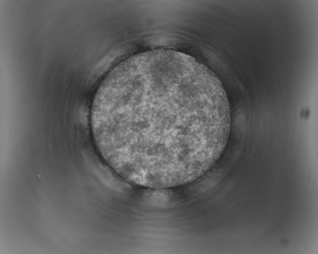 X0000111150282200907211210