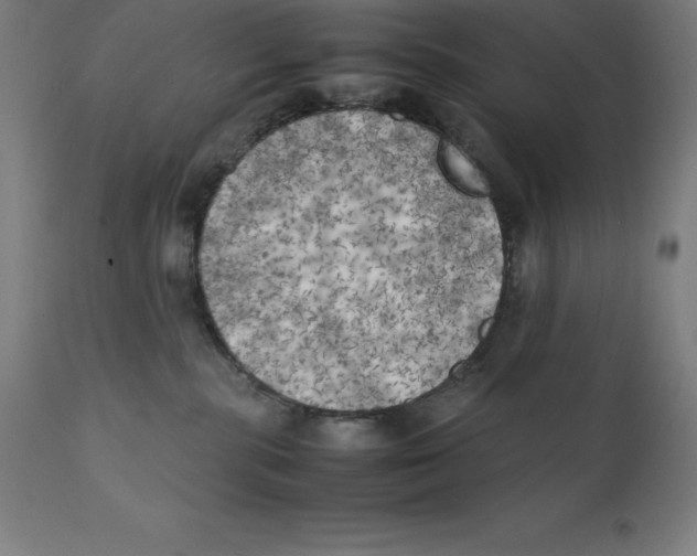 X0000111150283200907211210