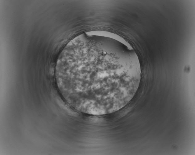 X0000111150284200907211210