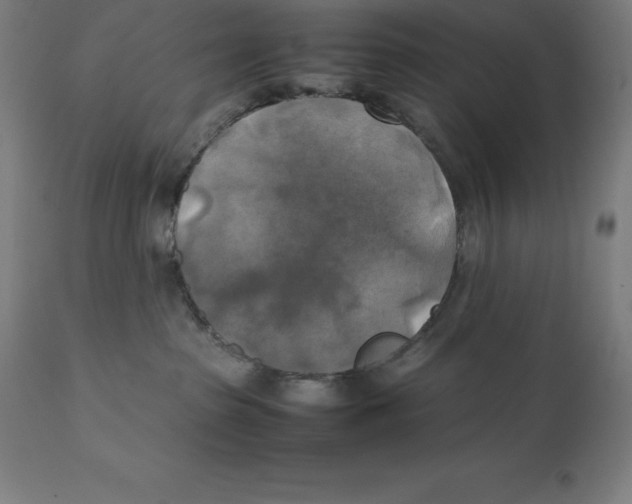 X0000111150285200907211210