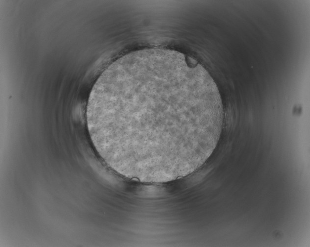 X0000111150286200907211210