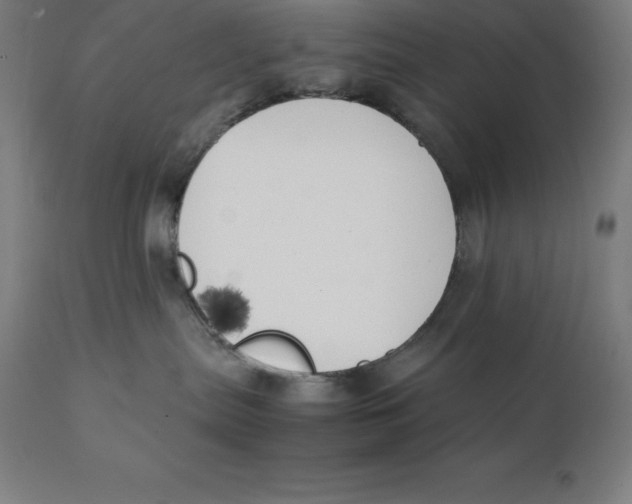 X0000111150287200907211210