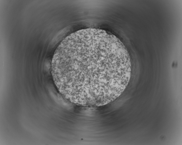 X0000111150288200907211210