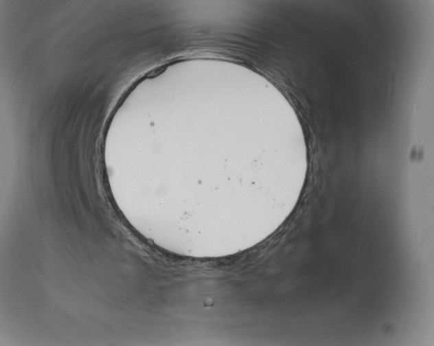 X0000111150289200907211210