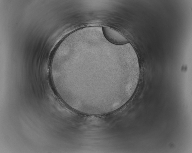 X0000111150290200907211210