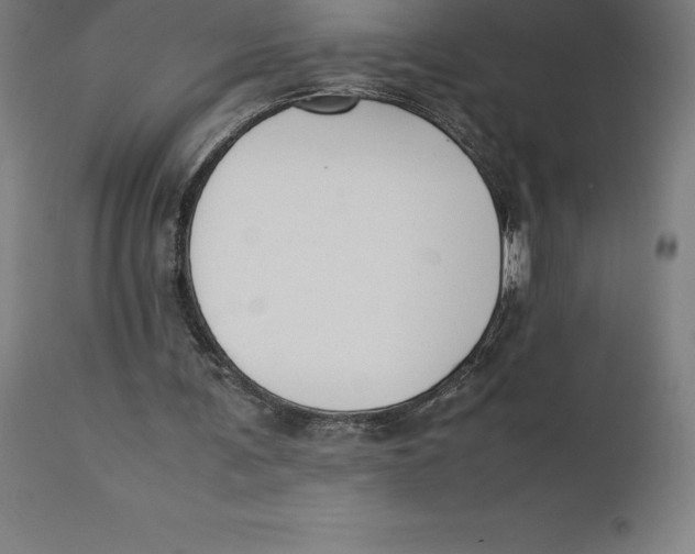 X0000111150291200907211209