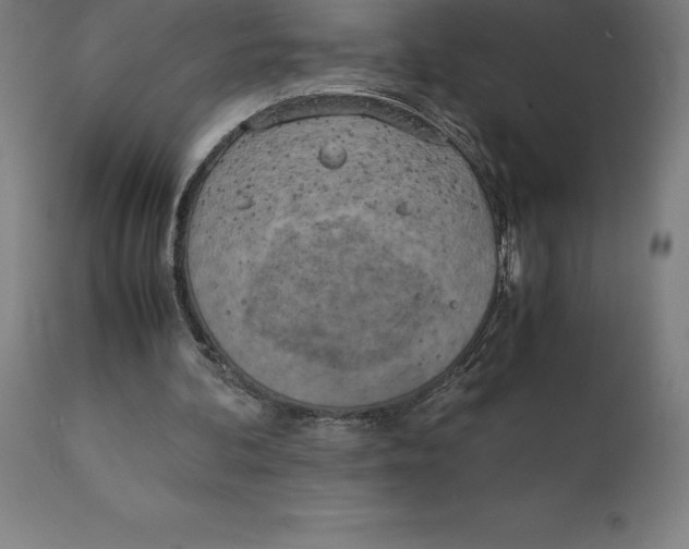 X0000111150292200907211209