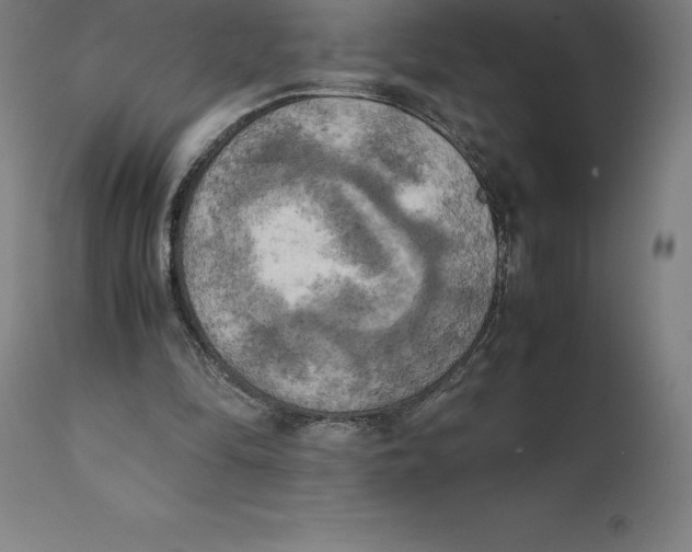 X0000111150294200907211209