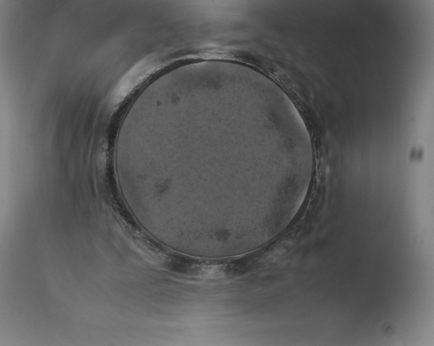 X0000111150295200907211209