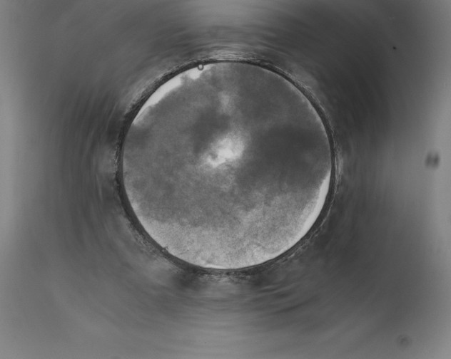 X0000111150297200907211209