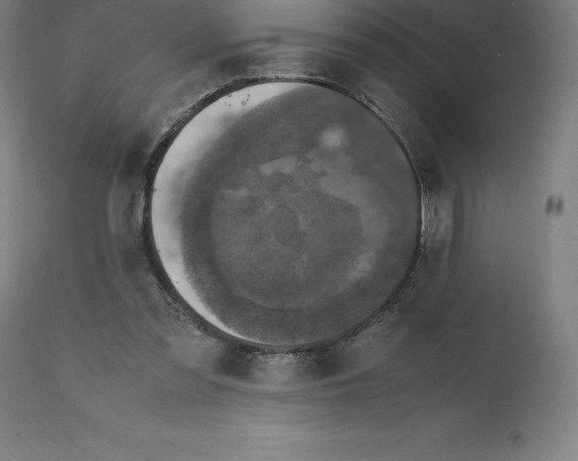 X0000111150301200907211209