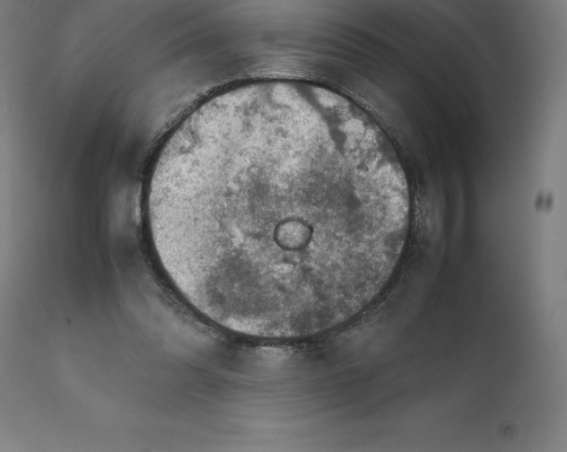 X0000111150302200907211209