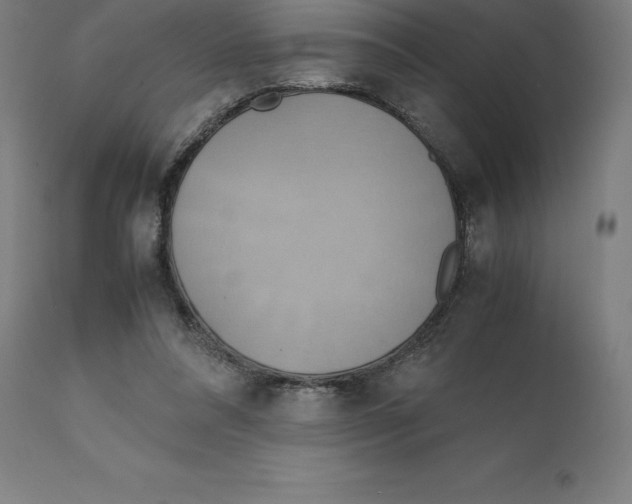 X0000111150304200907211209