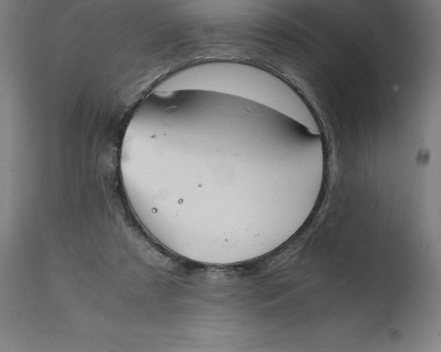 X0000111150305200907211209