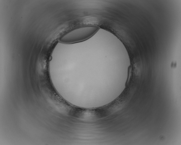 X0000111150308200907211209