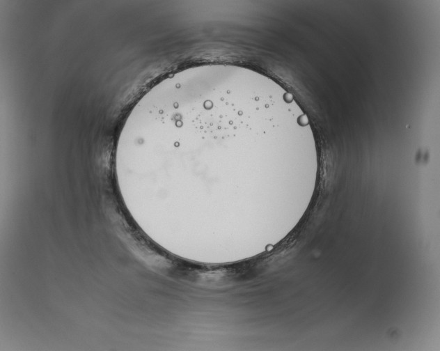 X0000111150309200907211209