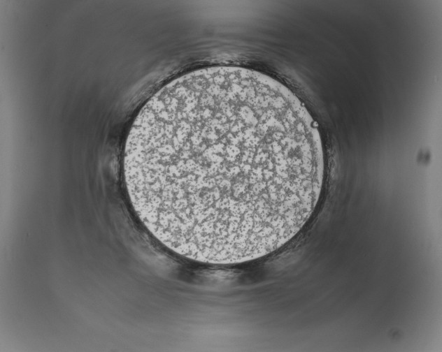 X0000111150313200907211209