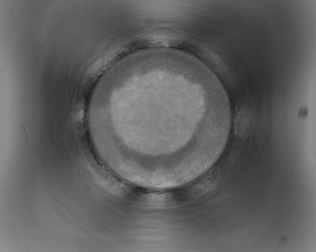 X0000111150314200907211209