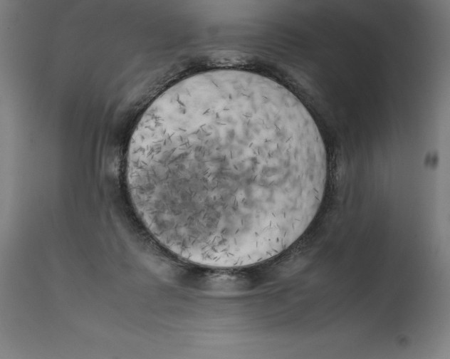 X0000111150315200907211209