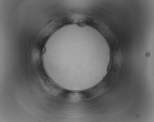 X0000111150316200907211209