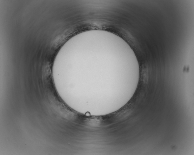 X0000111150318200907211209