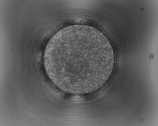 X0000111150319200907211209