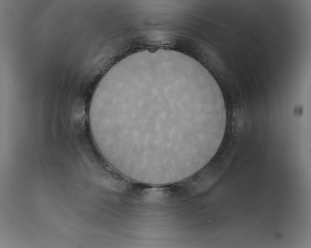 X0000111150320200907211209