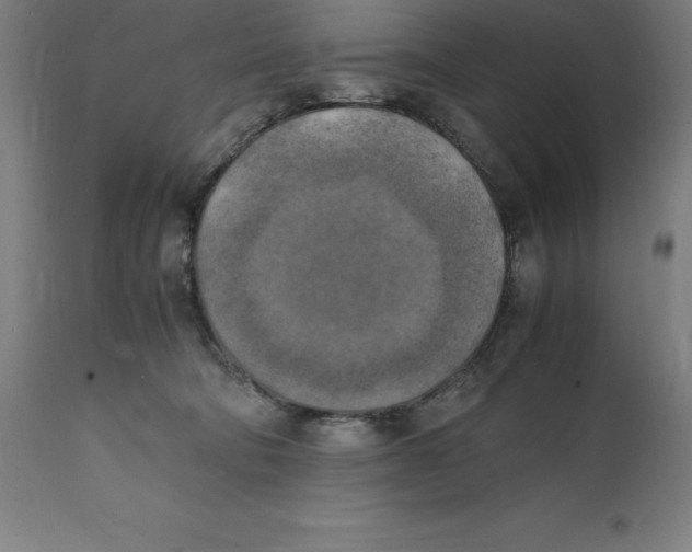 X0000111150322200907211209