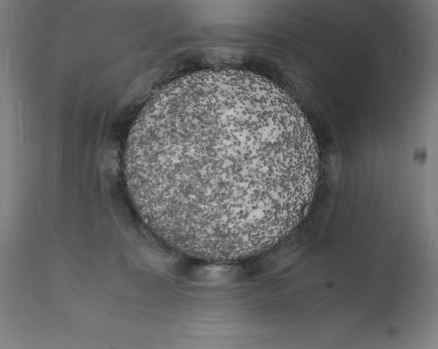 X0000111150323200907211209