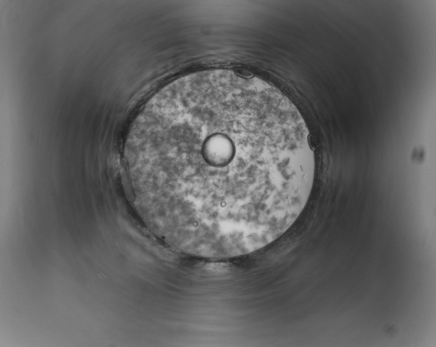 X0000111150324200907211209