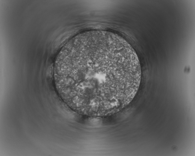 X0000111150325200907211209