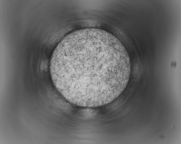 X0000111150326200907211209