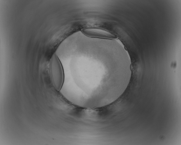 X0000111150327200907211209