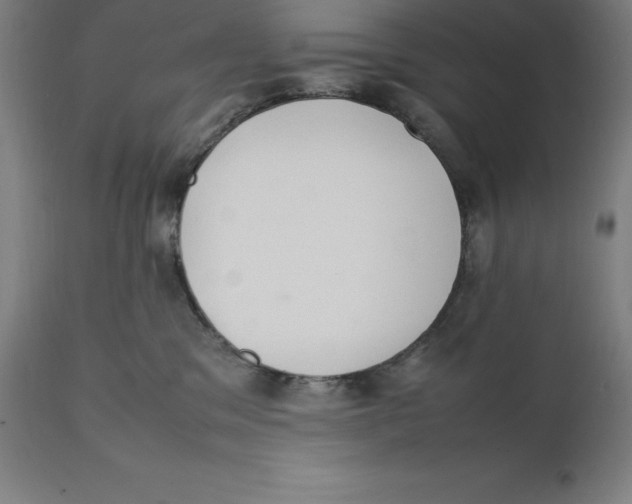 X0000111150329200907211209