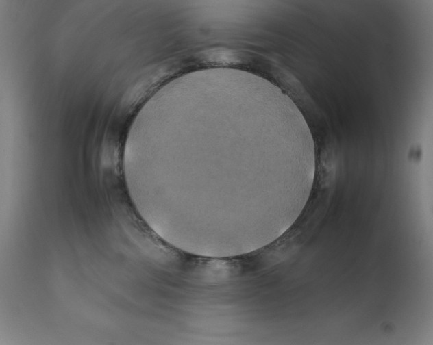 X0000111150330200907211209