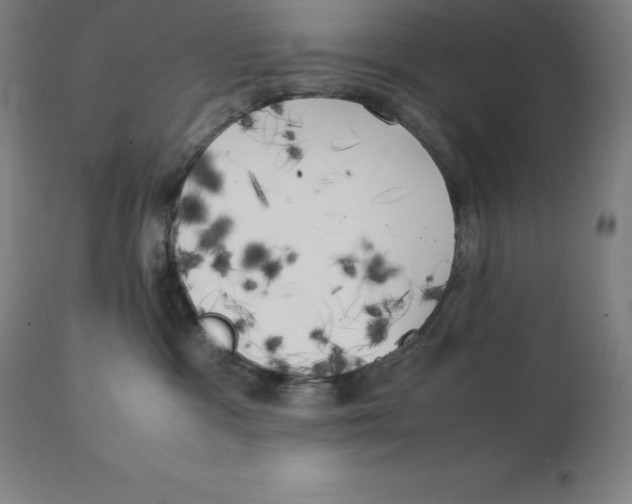 X0000111150333200907211209