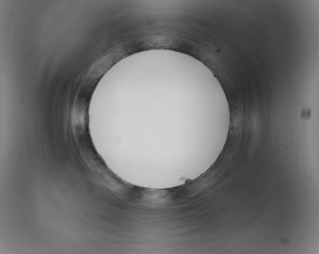 X0000111150334200907211209