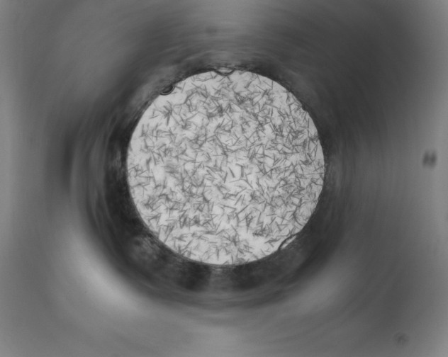 X0000111150335200907211209