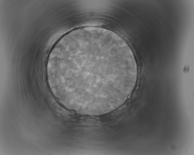 X0000111150337200907211208