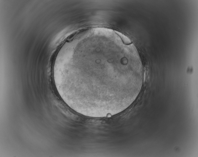 X0000111150339200907211208