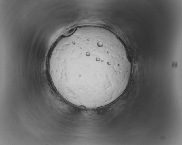 X0000111150340200907211208