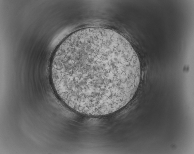 X0000111150341200907211208